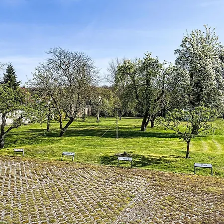 Burgfried - App- 4 By Interhome