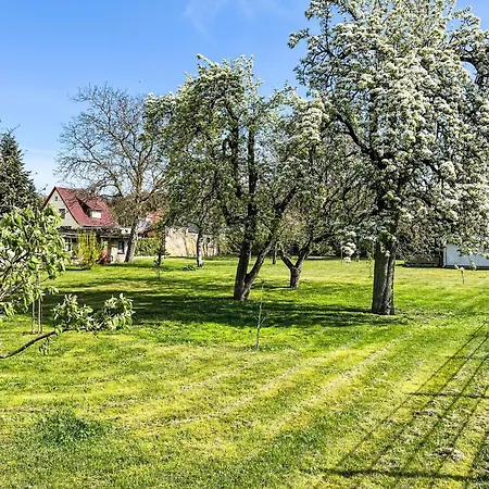 Burgfried - App- 4 By Interhome